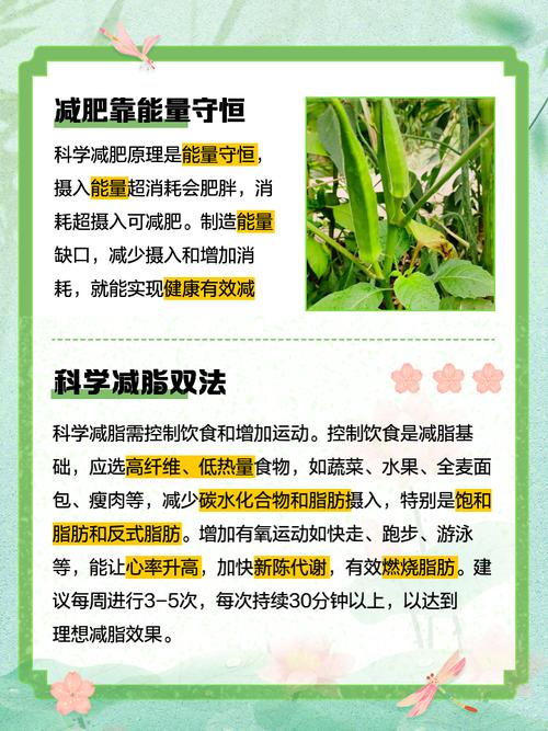 瘦吧减肥是什么原理