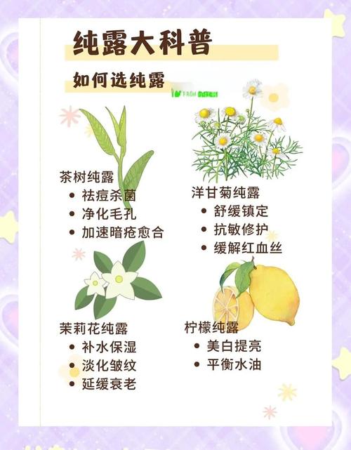 什么纯露内服可以减肥