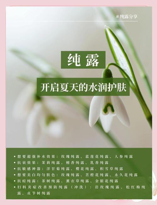 什么纯露内服可以减肥