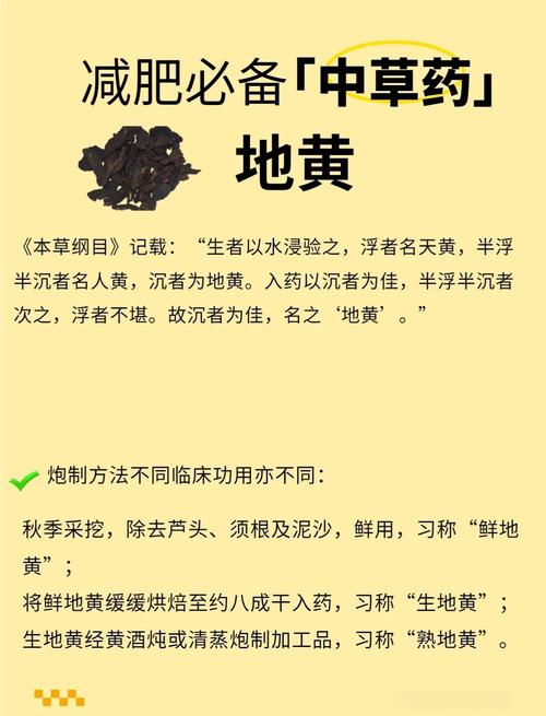 什么草药能减肥