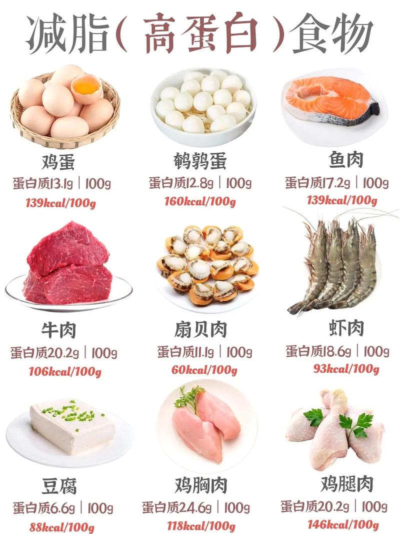 男生减肥期间吃什么食物