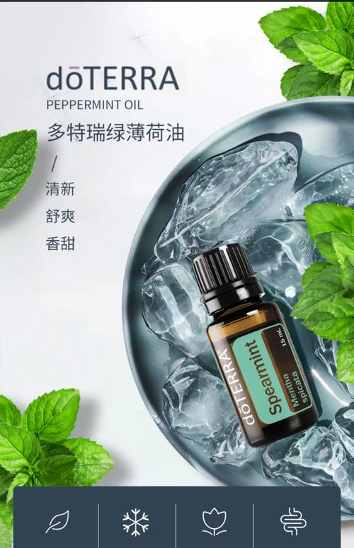 什么牌子的精油最好
