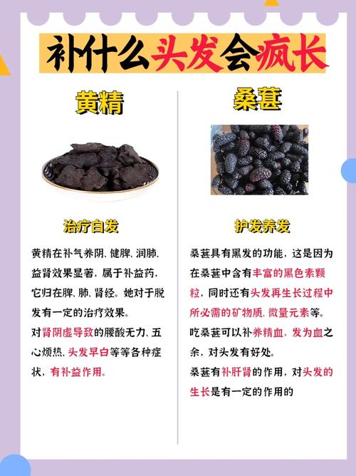 头发少应该吃什么
