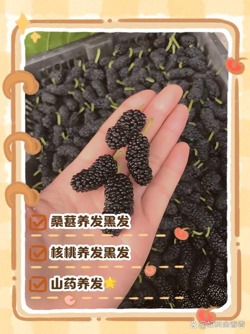 头发少应该吃什么