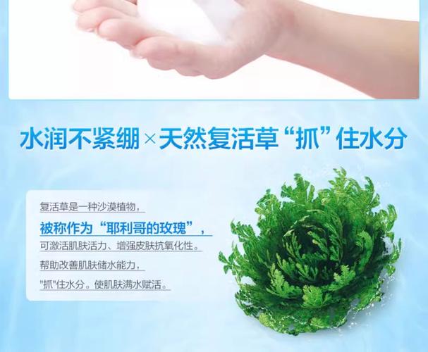 丹姿泡沫洗面奶怎么样