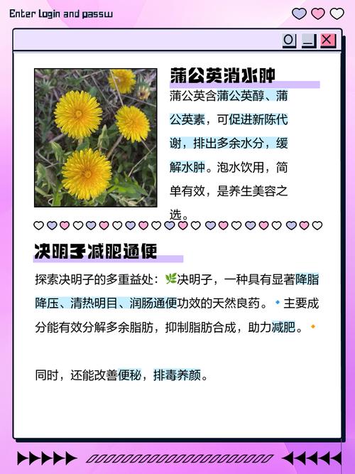 什么东西美容