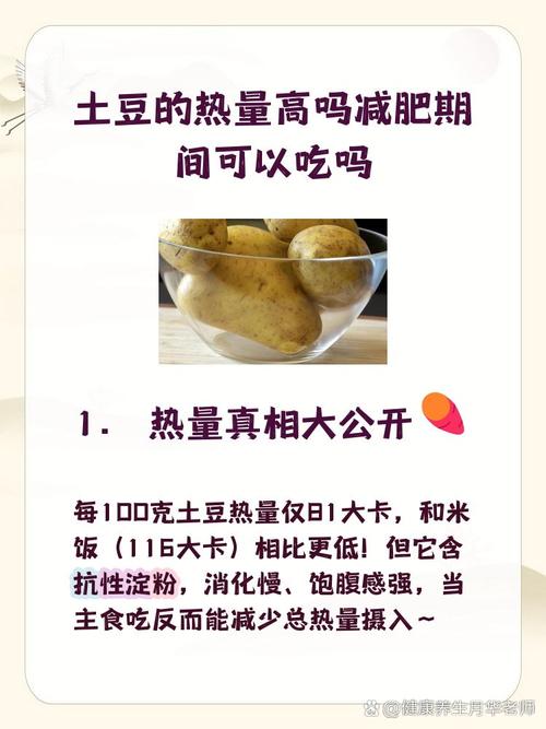 减肥什么时候吃土豆好