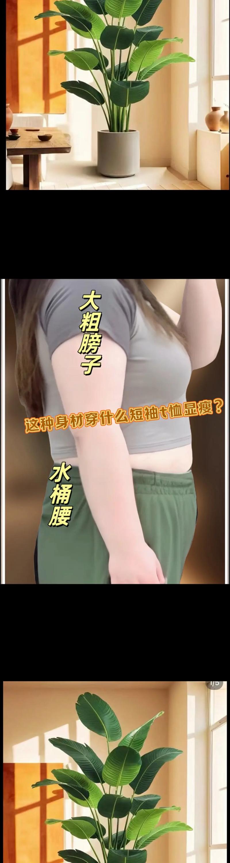 圆型身材怎么搭配衣服