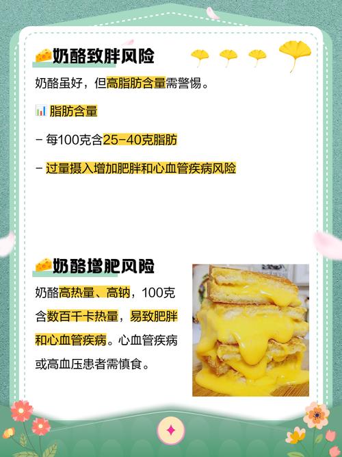 奶酪什么时候吃减肥