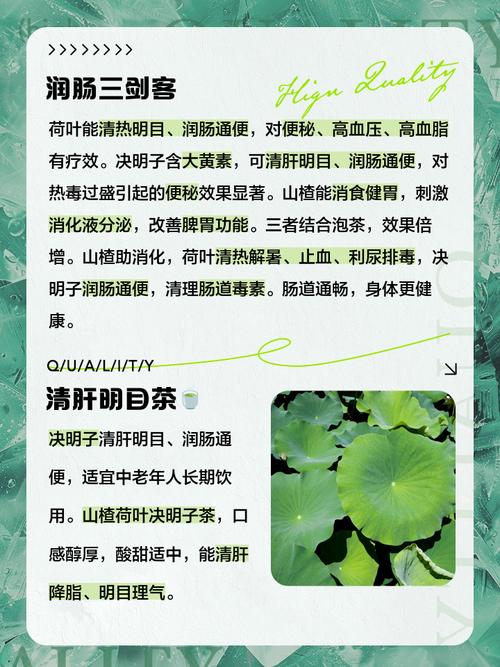 决明子和什么泡水减肥吗