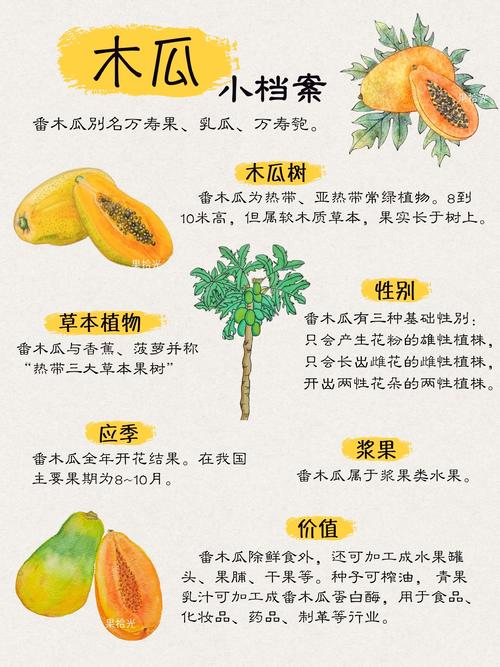木瓜为什么能减肥