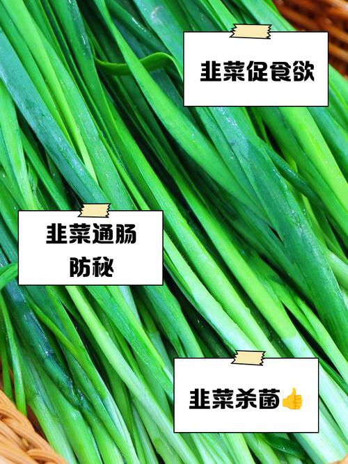 韭菜和什么吃减肥