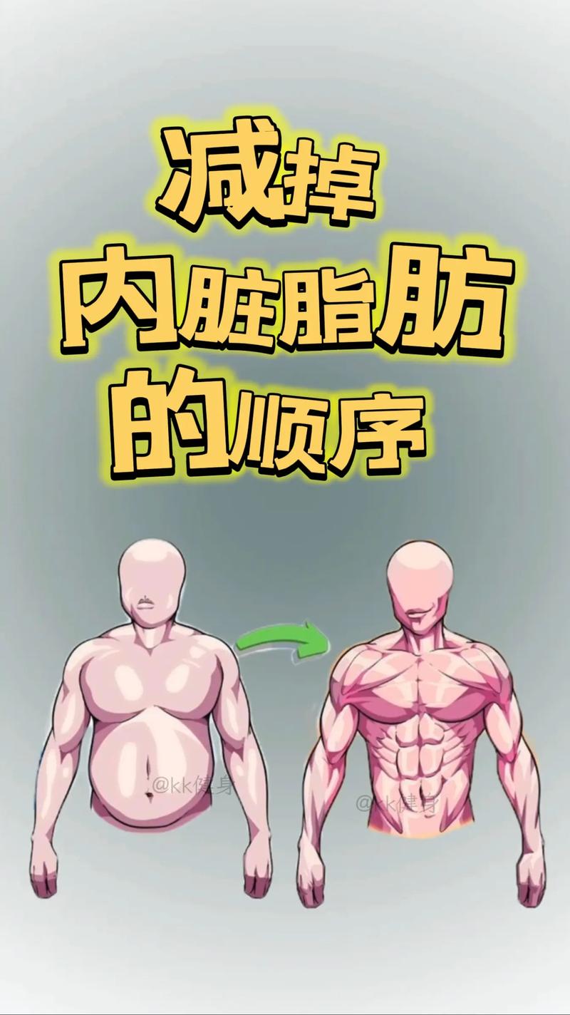 脂肪靠什么分解