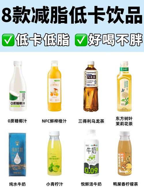 减肥喝什么健康饮品