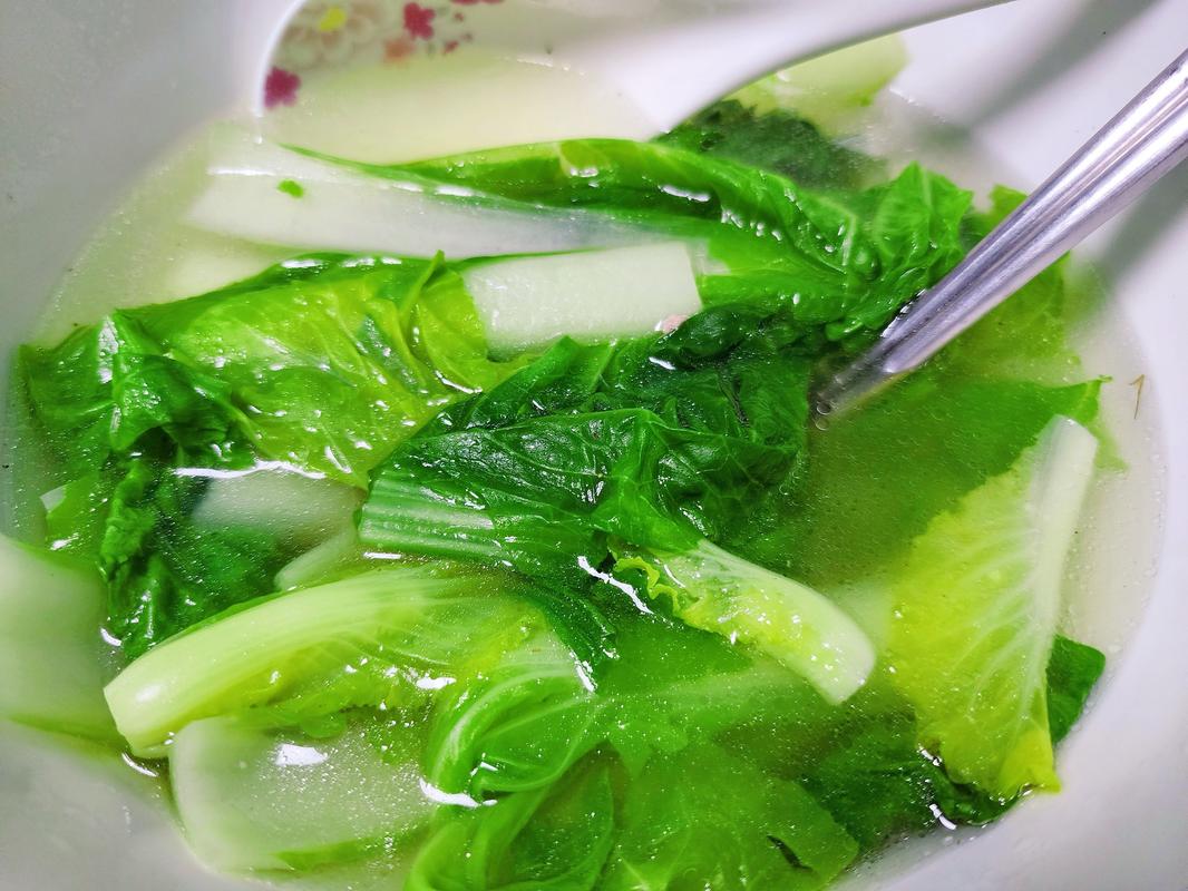 什么青菜煮汤可以减肥