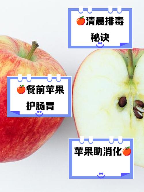 什么时候吃苹果最能减肥
