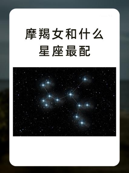 什么星座和摩羯座最配