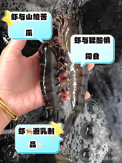 虾和什么相克不能吃