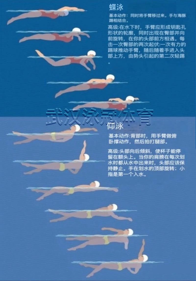 什么游泳姿势最减肥