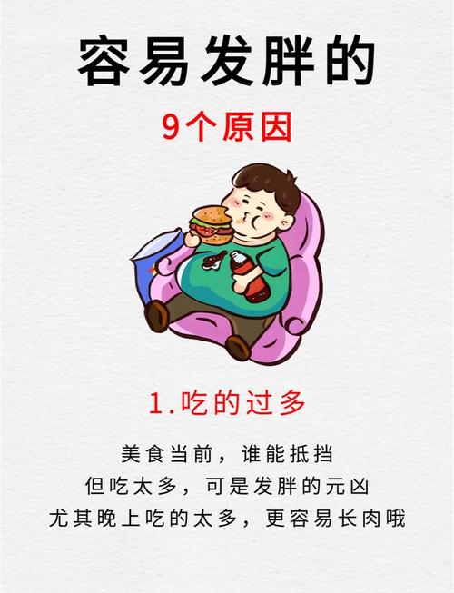 容易发胖是什么原因