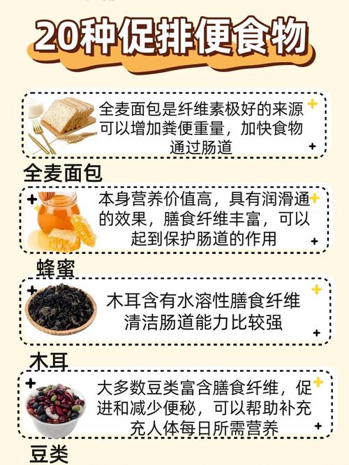 吃什么减肥排便