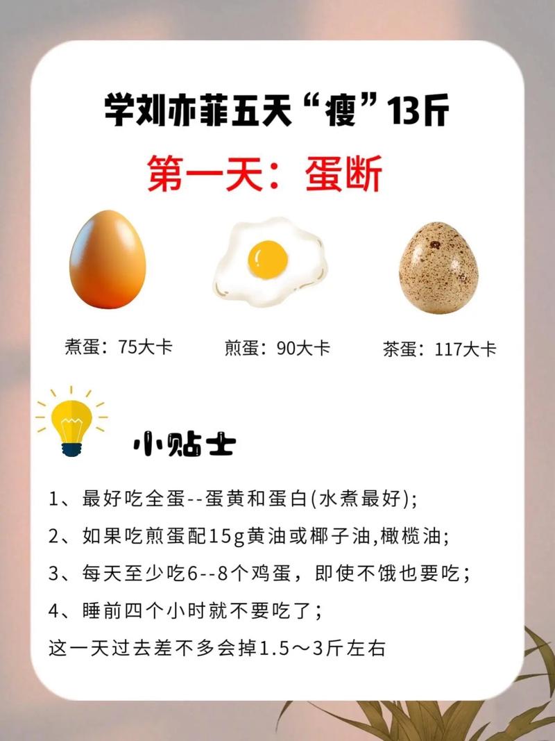 明星减肥一天吃些什么