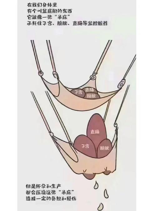 肌底是什么
