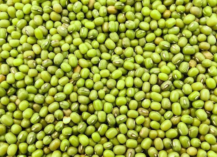 吃什么豆类可以减肥