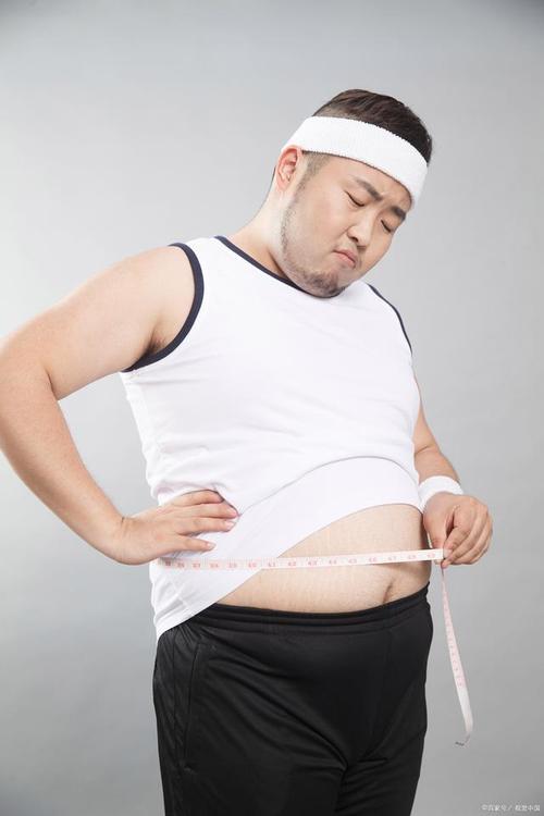 什么是胖人