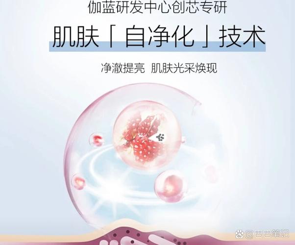自然堂洗面奶怎么样