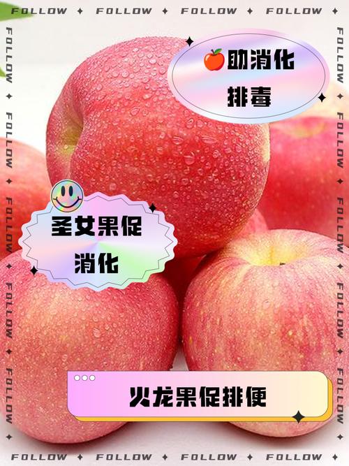 减肥用什么代替主食