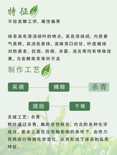 绿茶为什么能够减肥