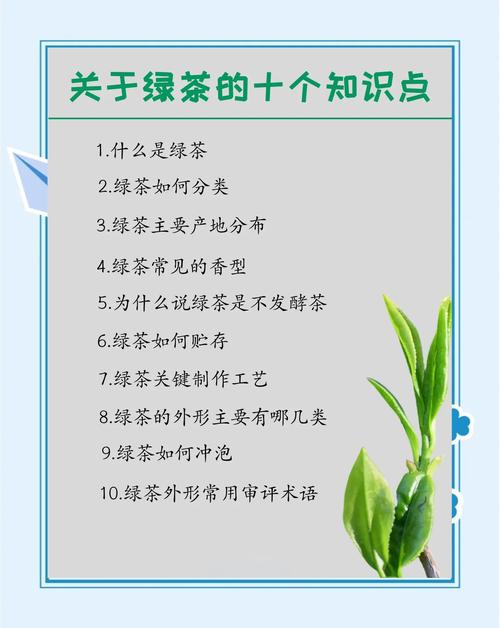 绿茶为什么能够减肥