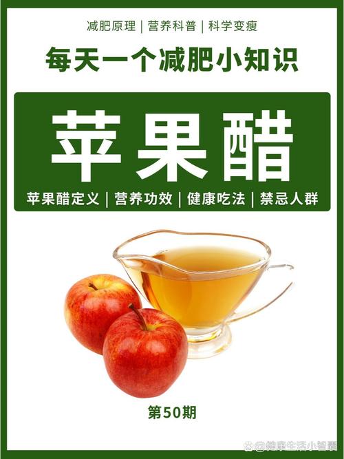 什么果醋可以减肥