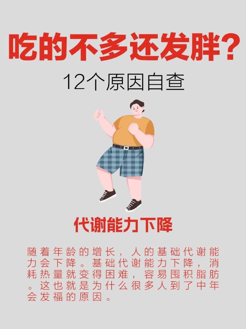 为什么吃得少还长胖