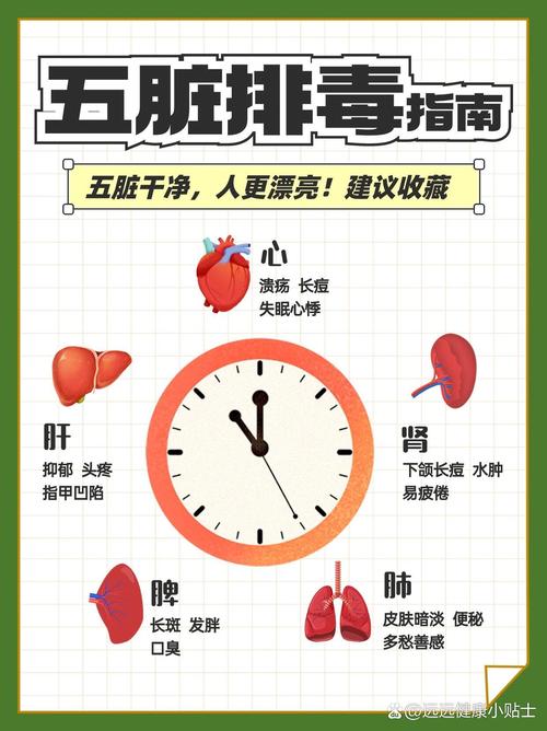 什么排毒效果