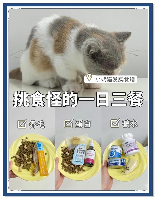 吃什么增肥最快最有效