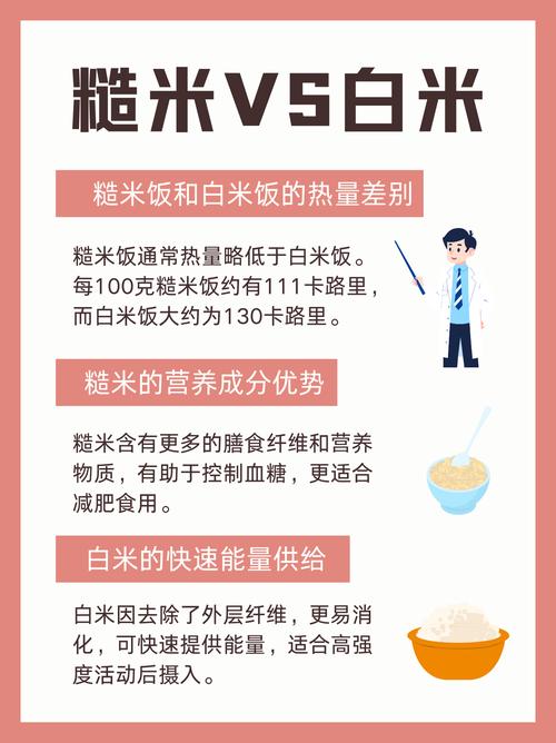 糙米饭为什么热量高却减肥