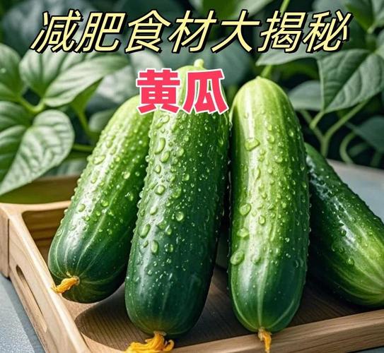 为什么生黄瓜能减肥效果好