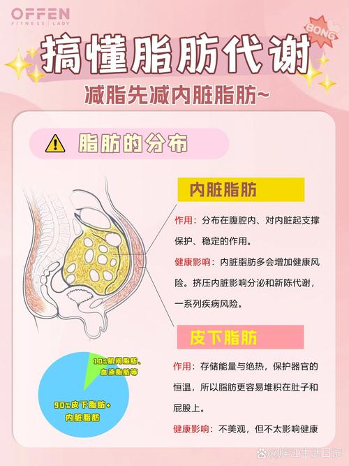 减肥都是什么原理