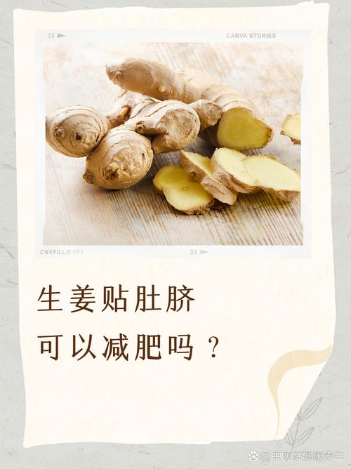 中药贴肚脐减肥用的什么中药