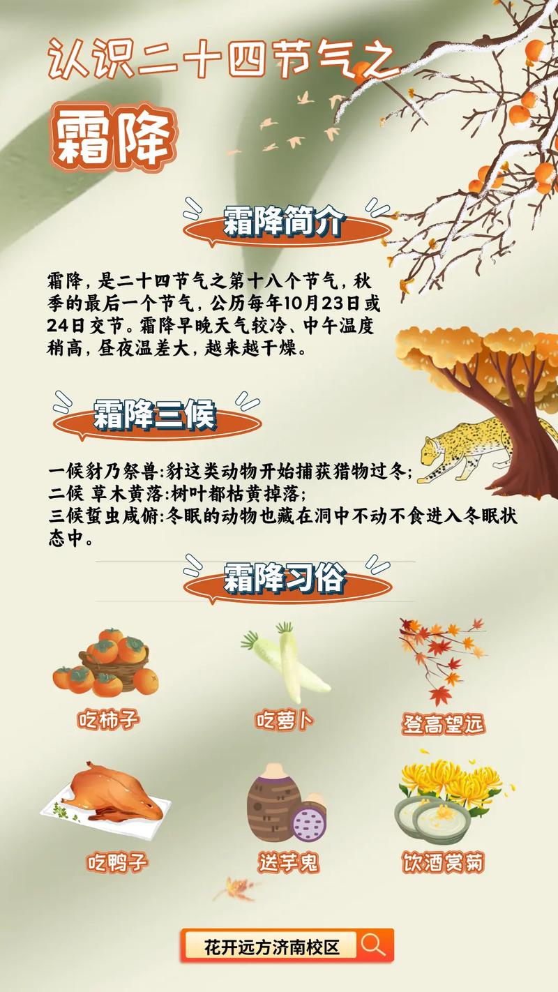 什么时候会下霜