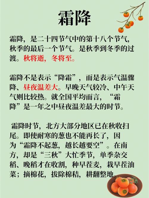 什么时候会下霜