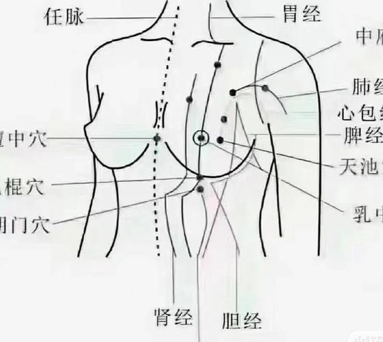 胸口有什么穴位