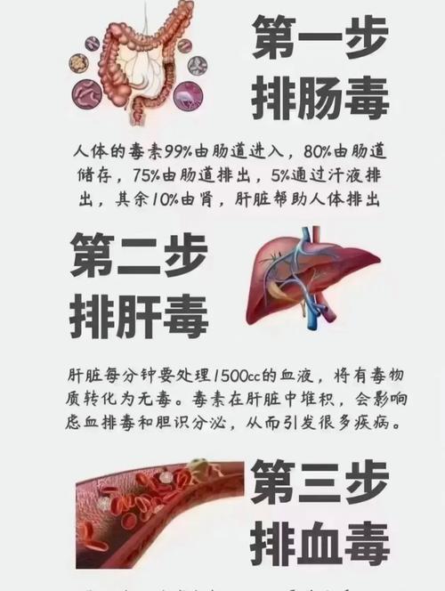 排毒水为什么可以减肥