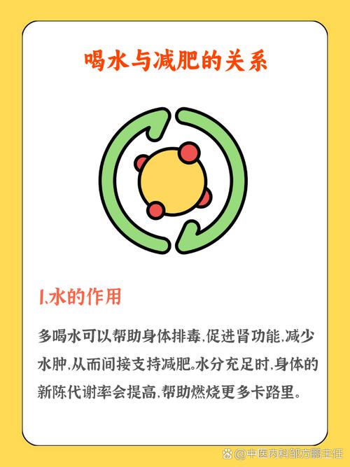 排毒水为什么可以减肥