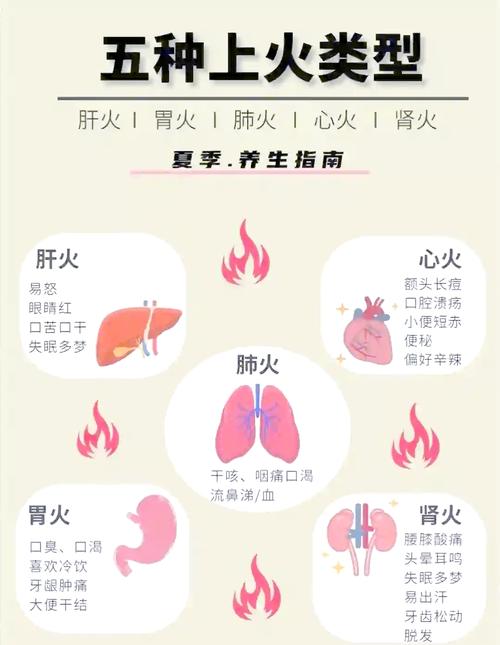 脸上上火是什么原因