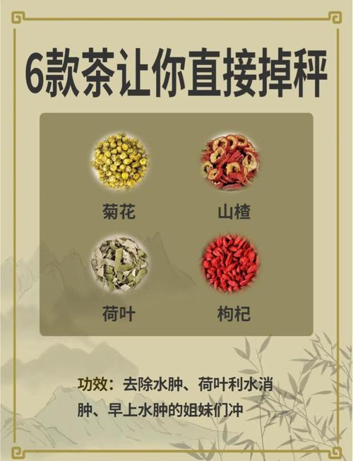 什么花茶减肥呢