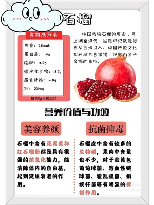 石榴有什么功效与作用