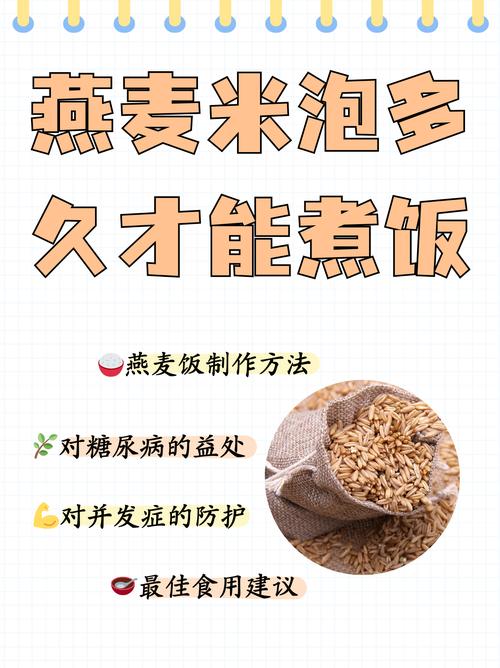 燕麦热量比米饭高为什么减肥